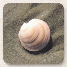 Porta-copo Sea Shell