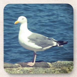 Porta-copo Seagull No Compartimento