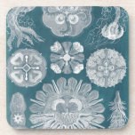 Porta-copo Sealife Blueprint IV<br><div class="desc">Vida marinha</div>