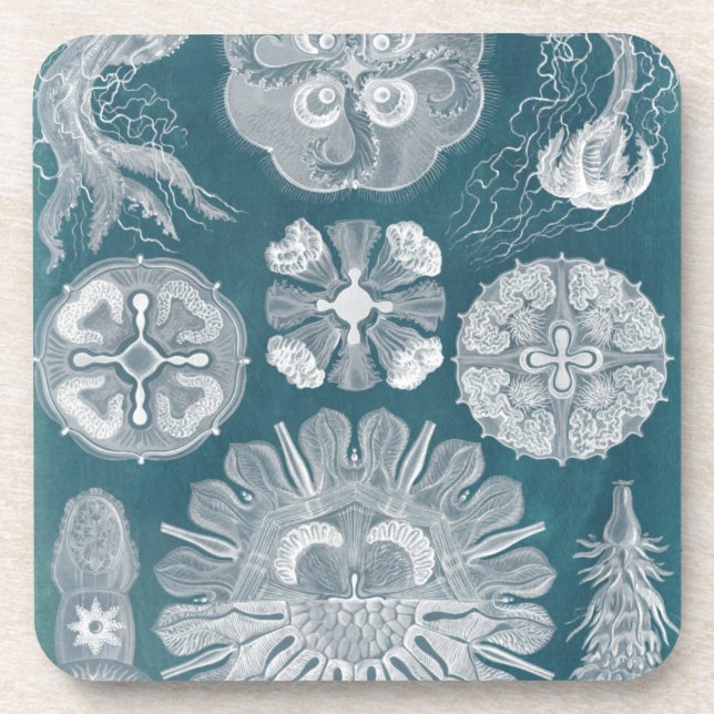 Porta-copo Sealife Blueprint IV (Frente)