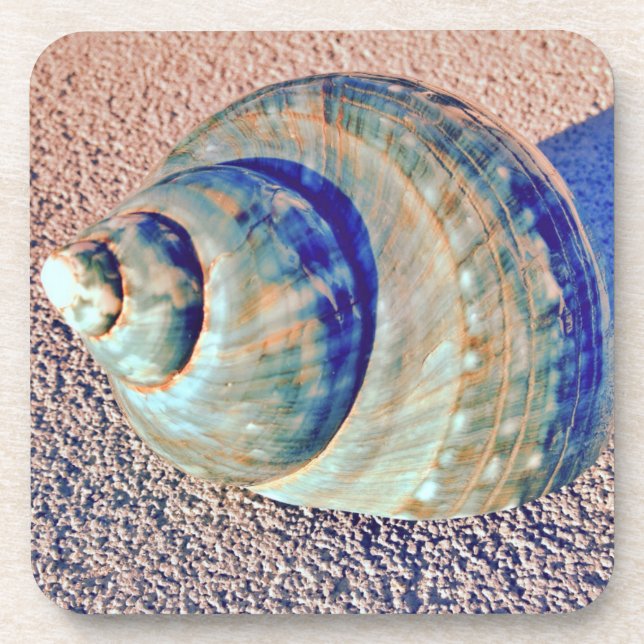 Porta-copo Seashell de Welk do mar (Frente)