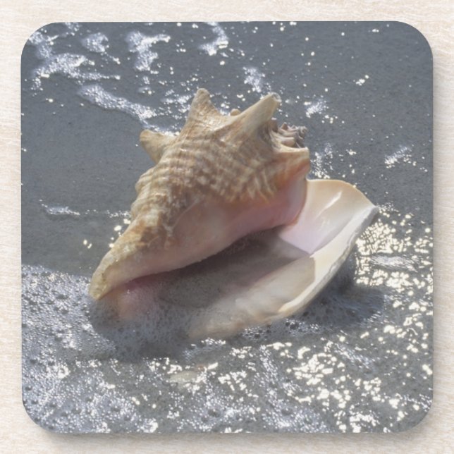 Porta-copo Seashell na ilha da praia | Sanibel, Florida (Frente)