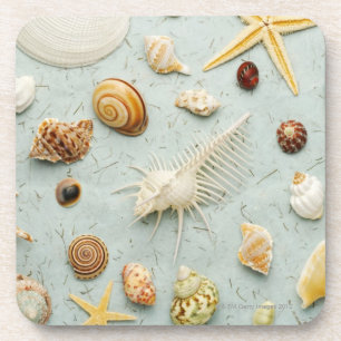 Porta-copo Seashells Assorted no fundo azul