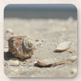 Porta-copo Seashells na areia pelo mar