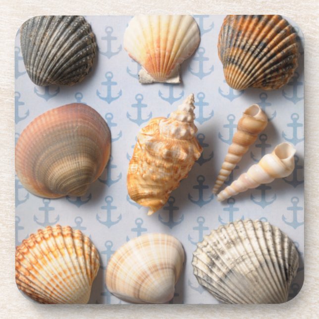 Porta-copo Seashells no contexto da âncora (Frente)