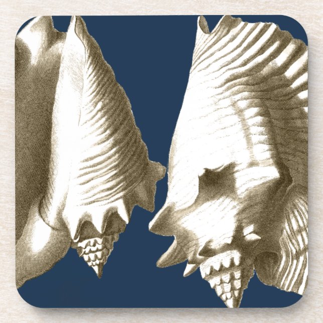 Porta-copo Sepia Conch Seashells (Frente)