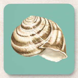 Porta-copo Sepia Striped Shell on Teal