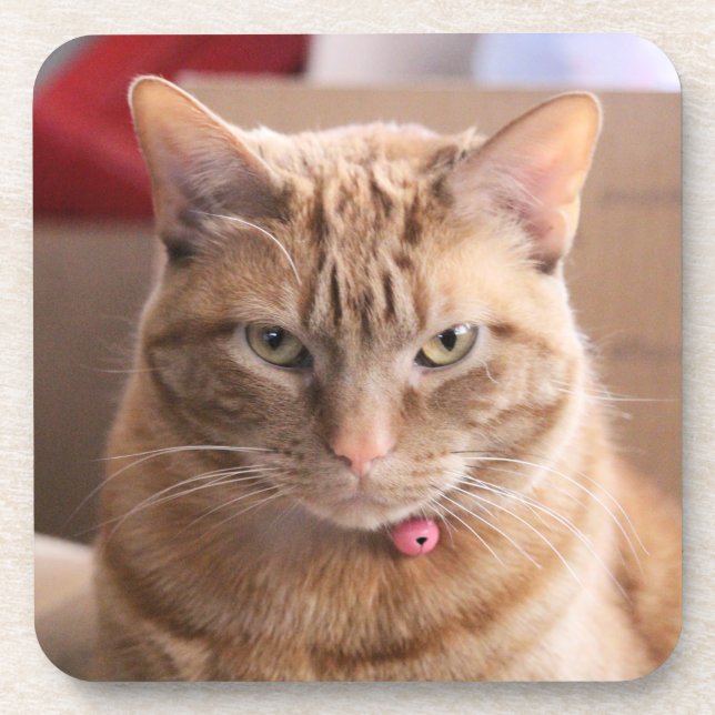 Porta-copo Sério (Frente)