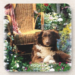 Porta-copo Shepherd Dog Art Australiano