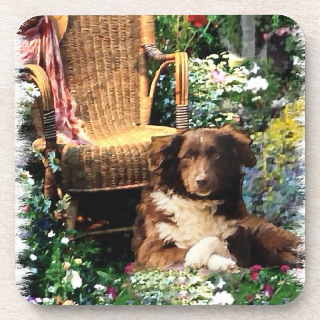 Porta-copo Shepherd Dog Art Australiano (Frente)