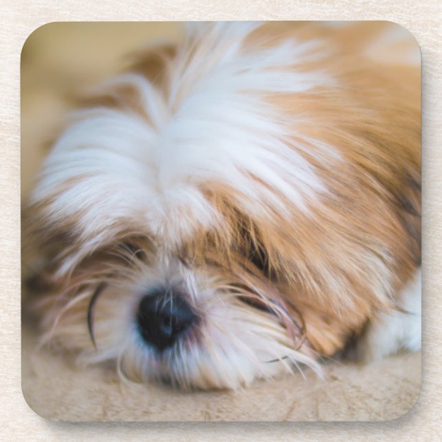 Porta-copo Shih Tzu (Frente)