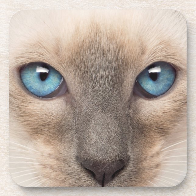 Porta-copo Siamese Kitten (Frente)