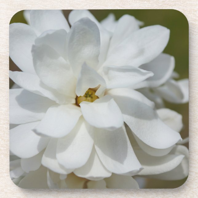 Porta-copo Silky Magnoly (Frente)