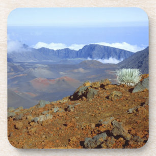 Porta-copo Silversword no cume da cratera Haleakala de perto