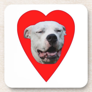 Porta-copo Smiling Dogo Argentino