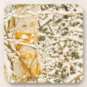 Porta-copo Snowy Birch