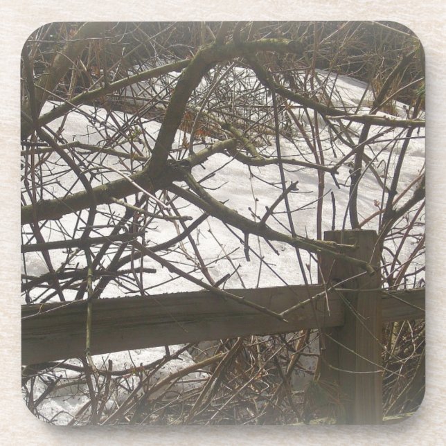Porta-copo Snowy Woods (Frente)