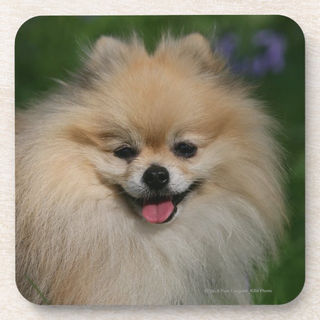 Porta-copo Sorriso de Pomeranian (Frente)