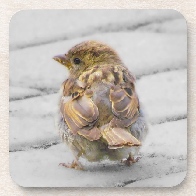 Porta-copo Sparrow Brown (Frente)