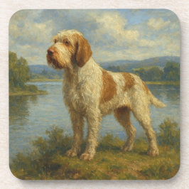 Porta-copo Spinone Italiano