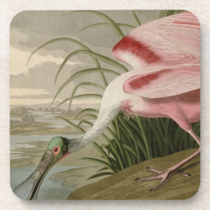 Porta-copo Spoonbill róseo