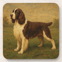 Porta-copo Springer Spaniel Inglês