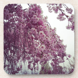 Porta-copo Springtime