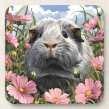 Springtime Guiné Pig