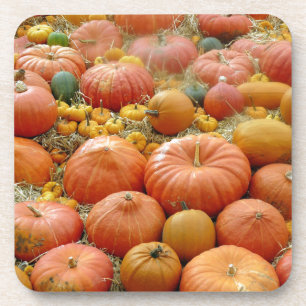 Porta-copo Squashes Galore