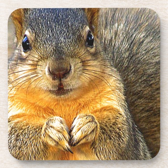 Porta-copo Squirrel Love (Frente)