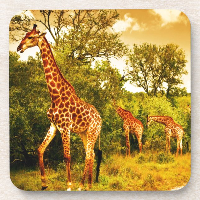 Porta-copo Sul - girafas africanos (Frente)