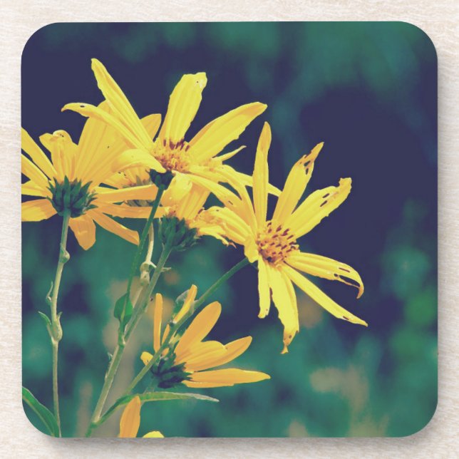 Porta-copo Summertime Wildflower (Frente)