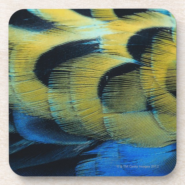 Porta-copo Superfície 4 da pena (Frente)