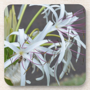 Porta-copo Suporte de Cortiça com Fragrância Floral