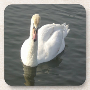 Porta-copo Swan