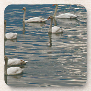 Porta-copo Swan Song