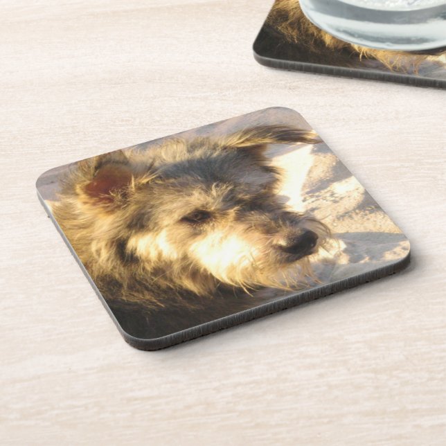 Porta-copo Tailandês Beach Dog (Left Side)