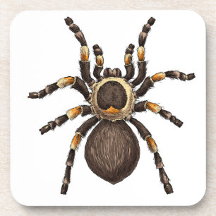 Porta-copo Tarantula