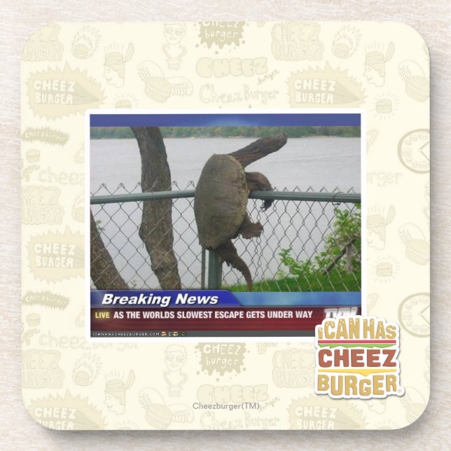 Porta-copo Tartaruga de Excaping (Frente)