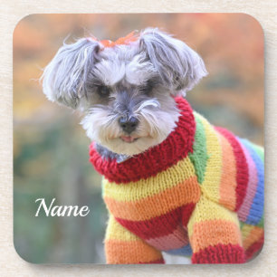 Porta-copo Teacup Schnauzer Puppy Dog em um Sweater