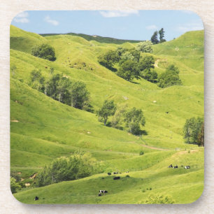 Porta-copo Terra agrícola perto de Gisborne, Nova Zelândia