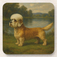 Terrier Dandi Dinmont
