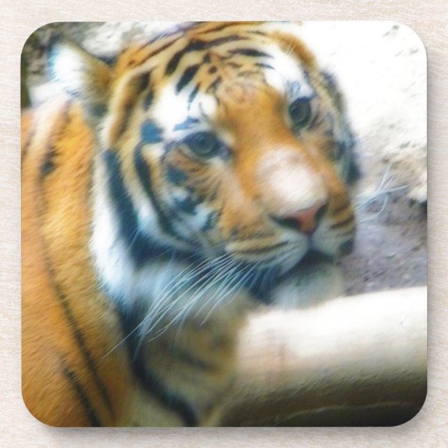 Porta-copo Tigre (Frente)