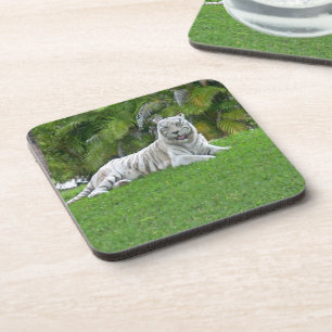 Porta-copo Tigre Branco Sorridente e Palmeiras