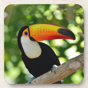 Porta-copo Toucan