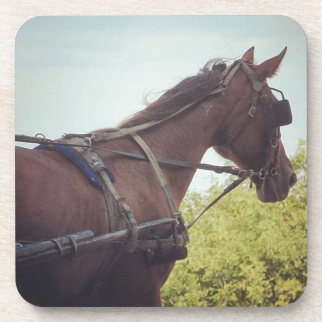 Porta-copo Transporte de Cavalos Desenhados (Frente)