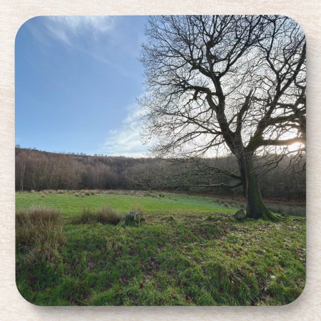 Porta-copo Tree view.. (Frente)