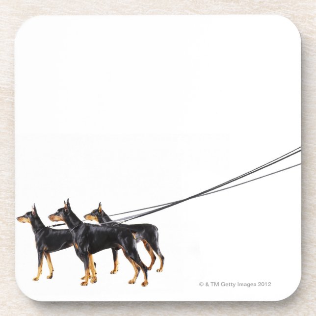 Porta-copo Três Dobermans na trela (Frente)