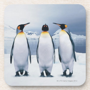Porta-copo Três rei pinguins