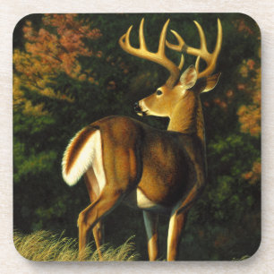 Porta-copo Troféu Whitetail Deer Buck Hunting